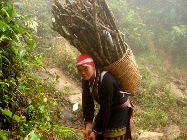 Customary Law in Forest Resources Use and Management by Dzao and Thai People
