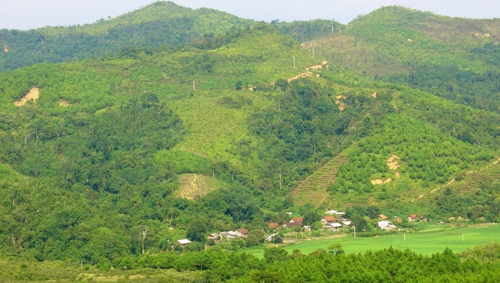 Thực trạng quản lý và sử dụng tài nguyên đất rừng  tại huyện Hữu Lũng, tỉnh Lạng Sơn