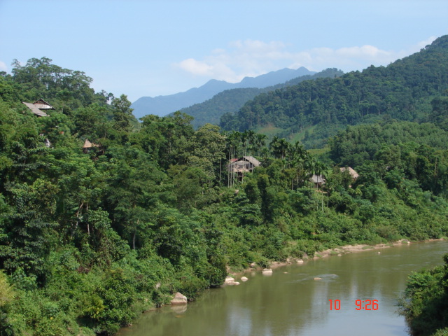  	 Những kết quả ban đầu về khảo sát 74 loài cây gỗ ở bản Pỏm Om, xã Hạnh Dịch, Quế Phong, Nghệ An